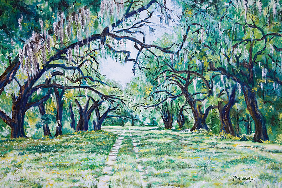 Edisto Oaks